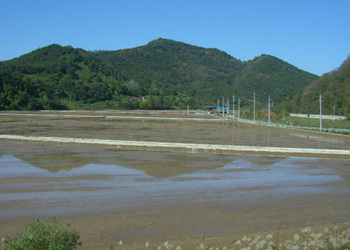삼학지구농경지 리모델링공사 전경사진입니다.